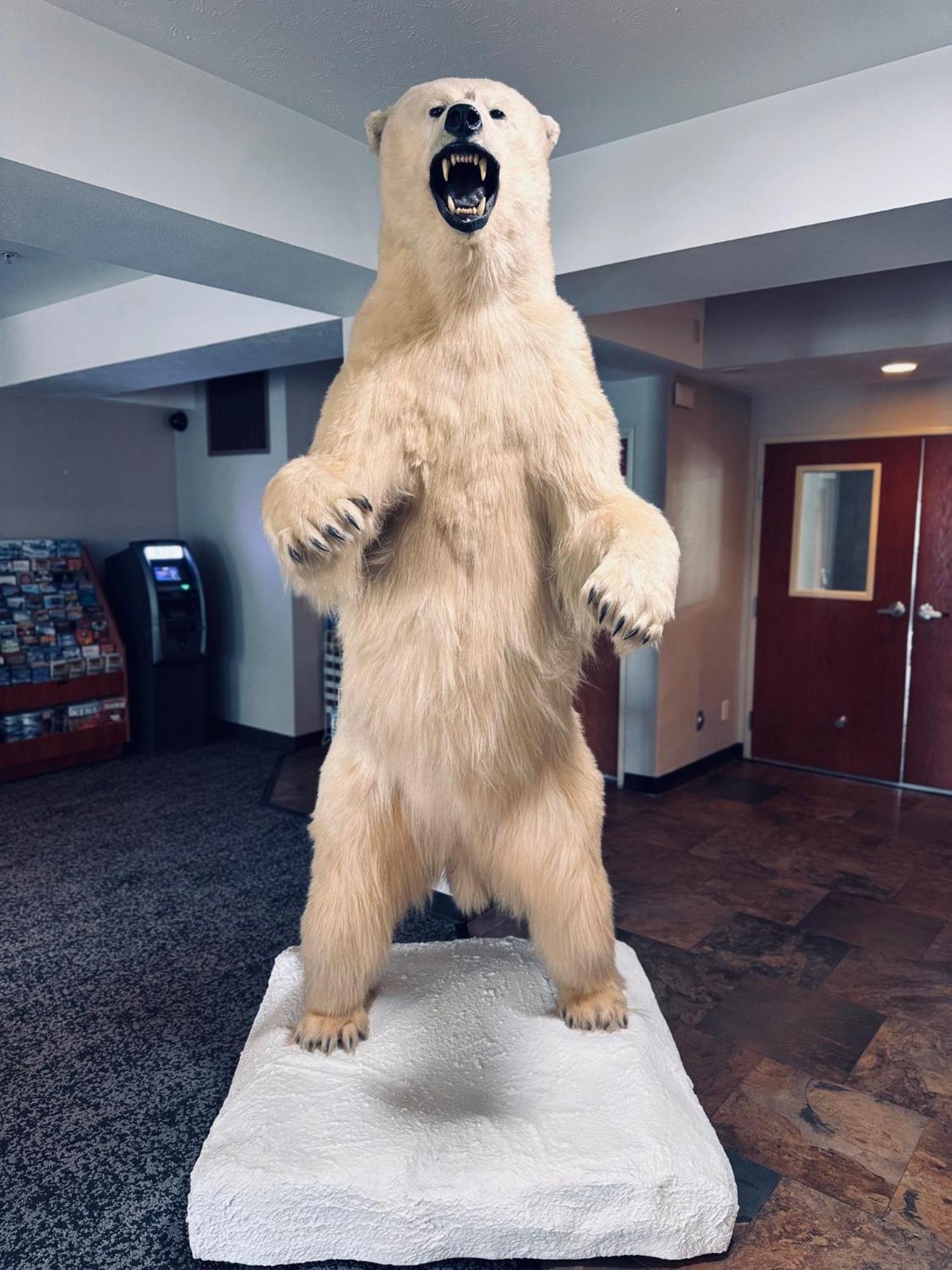 Wyndham Garden Anchorage Airport Hotel Kültér fotó